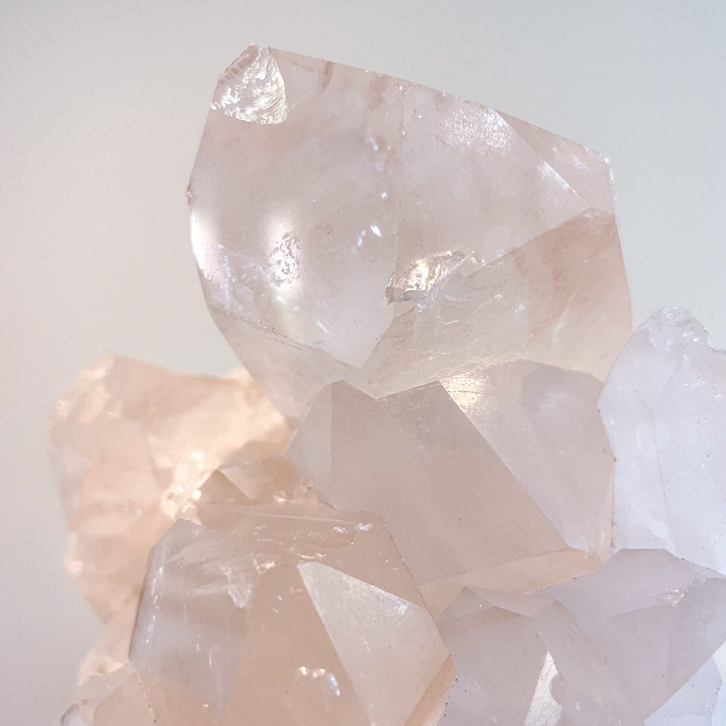Lemurian Clear quartz rainbow inclusions + record keeper crystal cluster on stand XL
