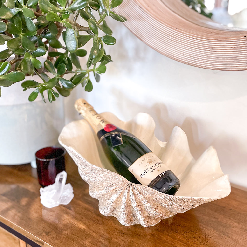 Clam shell display planter pot L