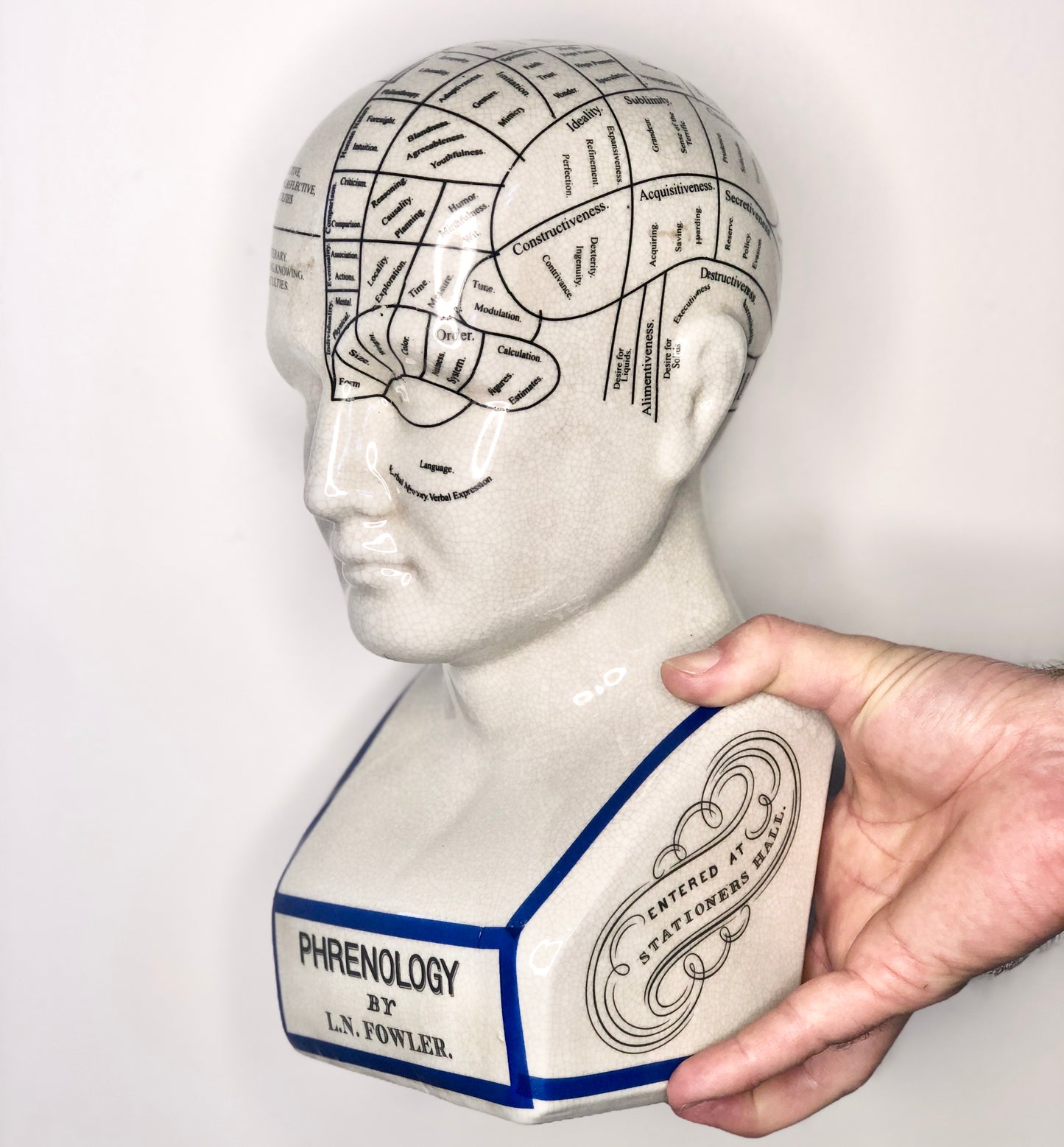 Vintage original phrenology head bust statue