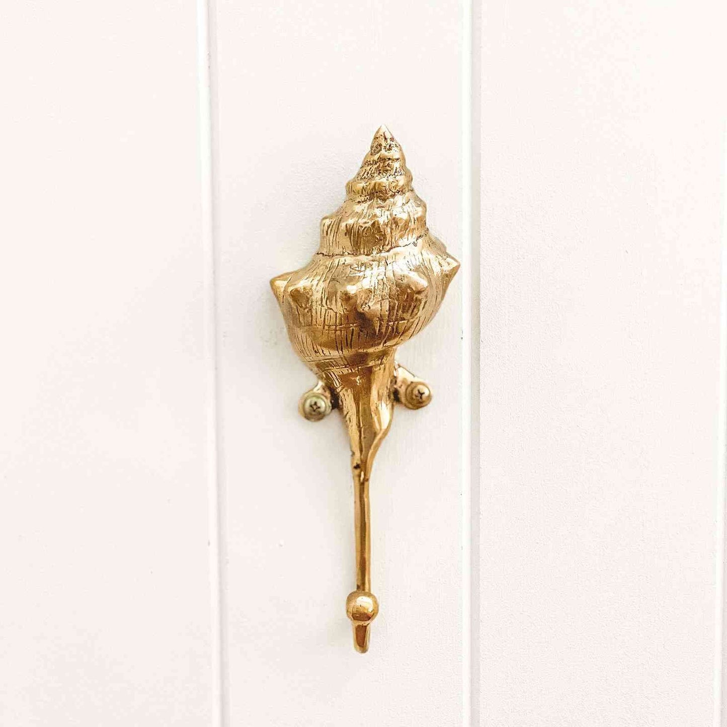Conch shell brass wall hook