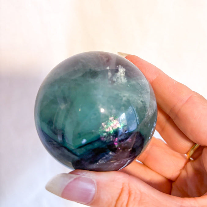 Hand holding Fluorite green and purple crystal sphere with a white background