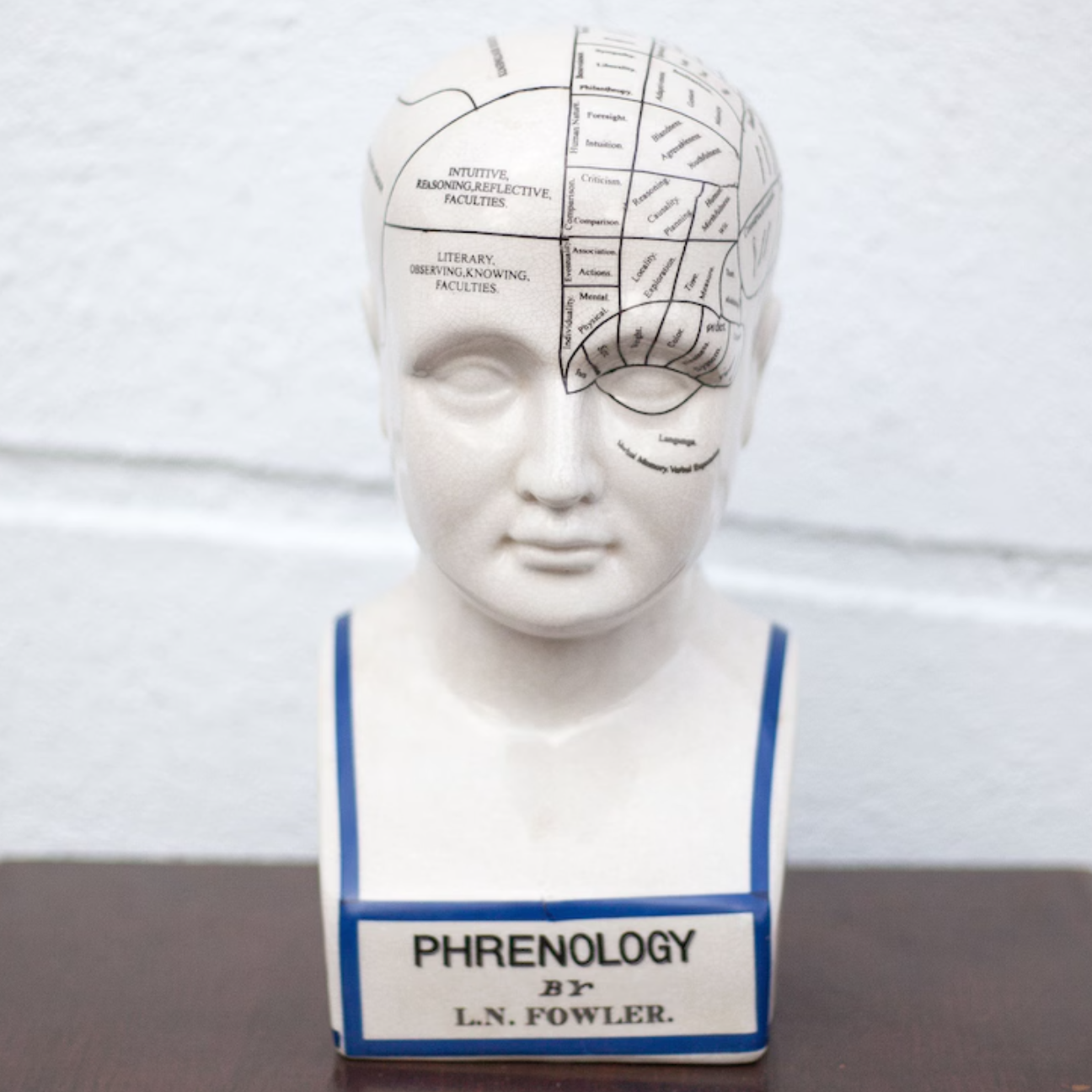 Vintage original phrenology head bust statue