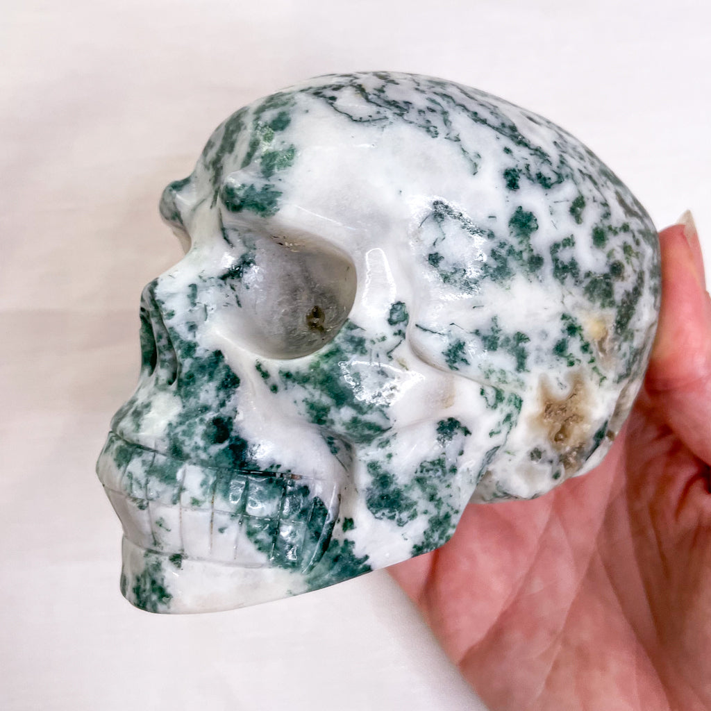 Moss agate crystal skull L 680g