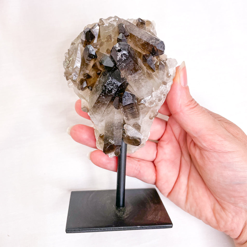 Smoky quartz crystal cluster metal stand S4