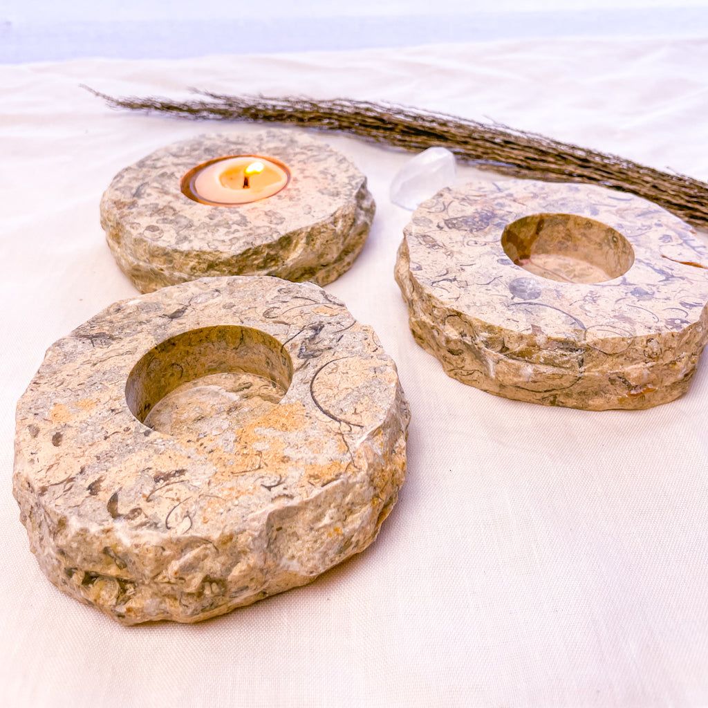 Coral fossil crystal candle holder