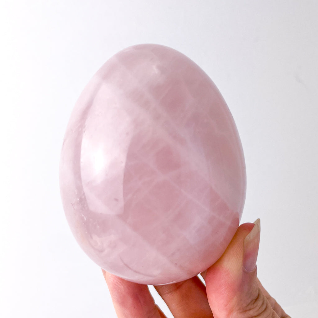 Rose Quartz crystal egg M-L