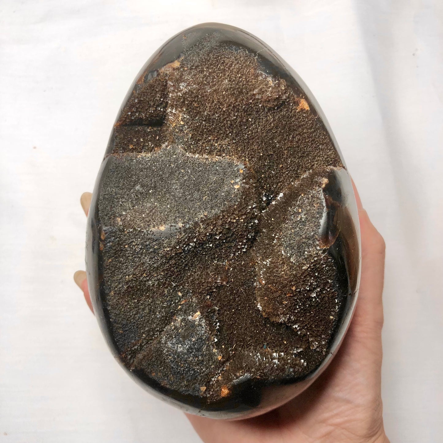 Septarian nodule druzy crystal egg XL with gold stand
