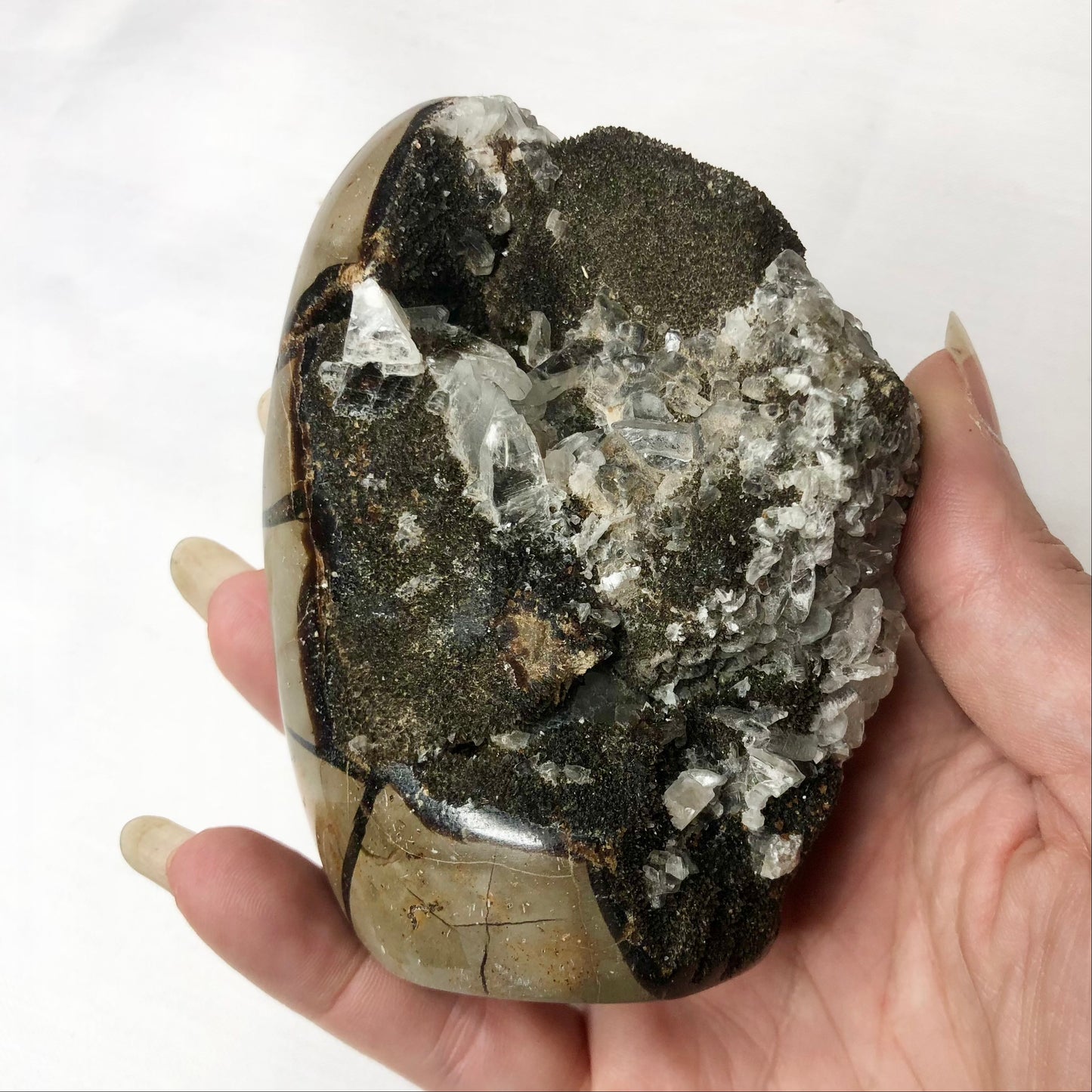 Septarian nodule + Calcite crystal flat base statue M