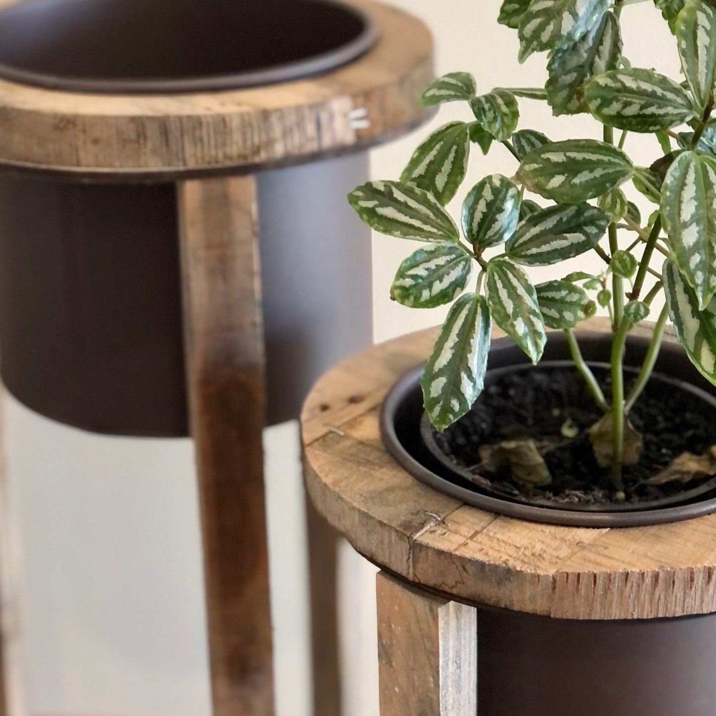 Industrial metal + wood pot plant stand