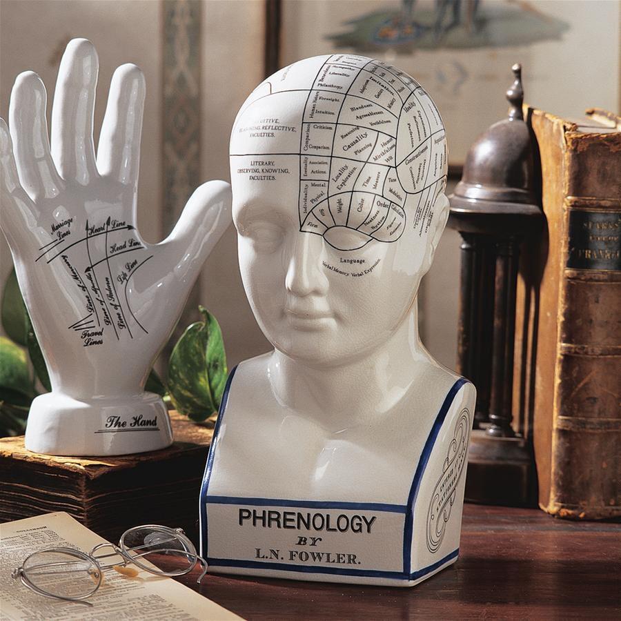 Phrenology head bust statue