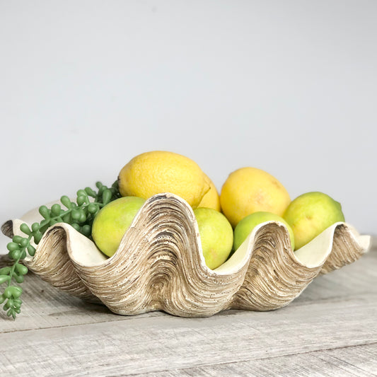 Clam shell display fruit bowl / planter pot