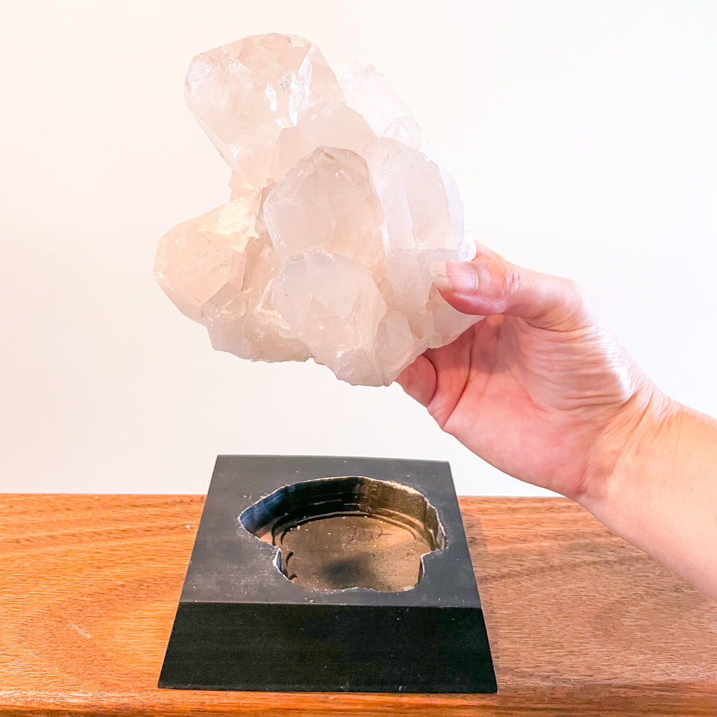 Lemurian Clear quartz rainbow inclusions + record keeper crystal cluster on stand XL