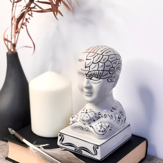 Phrenology head inkwell statue