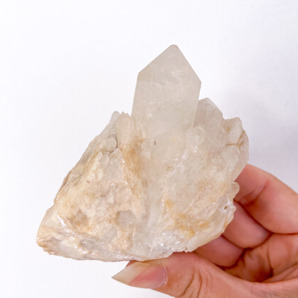 Clear quartz Cactus quartz crystal cluster 280g
