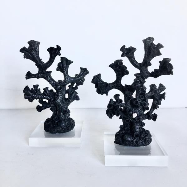 Coral decor black on stand