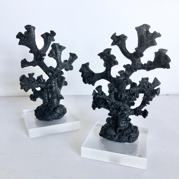 Coral decor black on stand